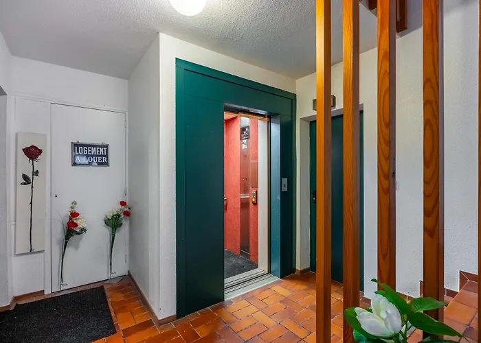 Le Precieux De Raoul Centre Avec Ascenseur * נאנסי